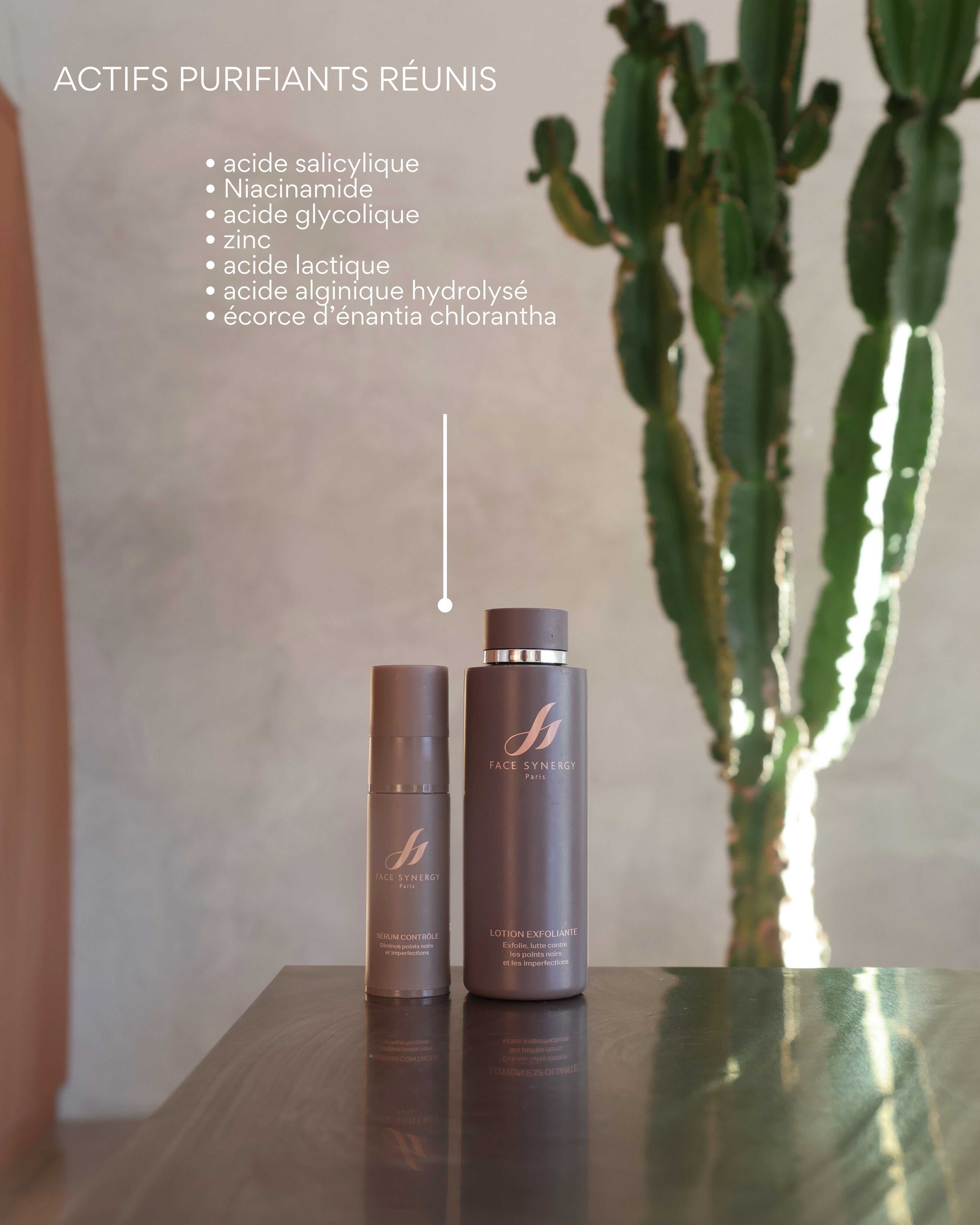 SET PURIFIANT